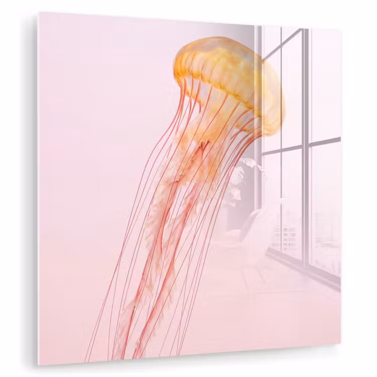 Sierlijk - Kwal - Roze plexiglas 5mm klein -zzzproduct_nieuw