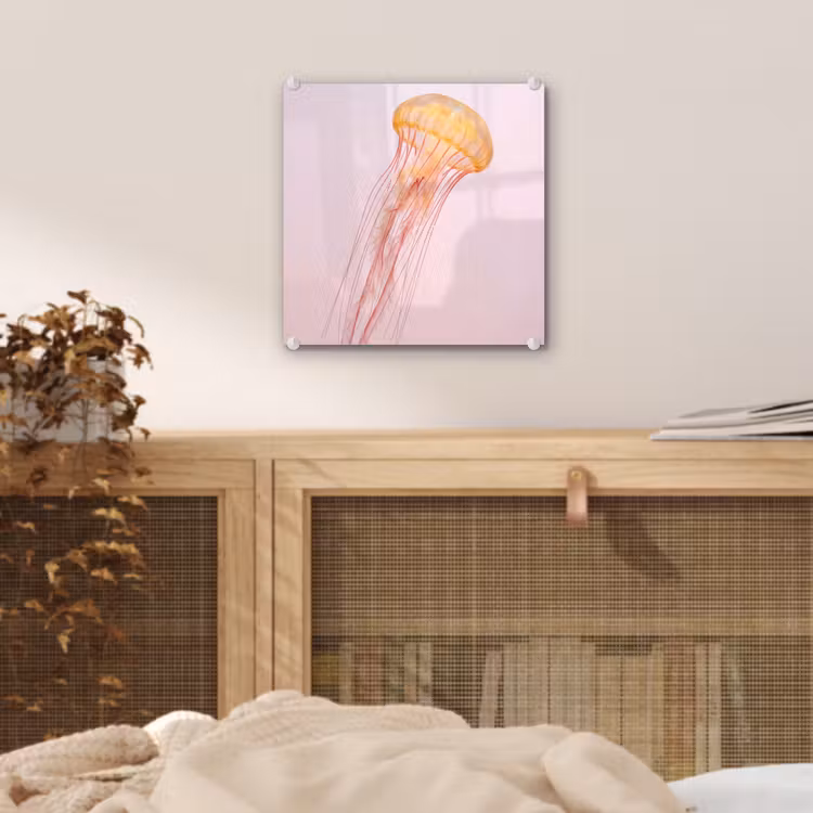 Sierlijk - Kwal - Roze plexiglas 5mm klein -sfeer4