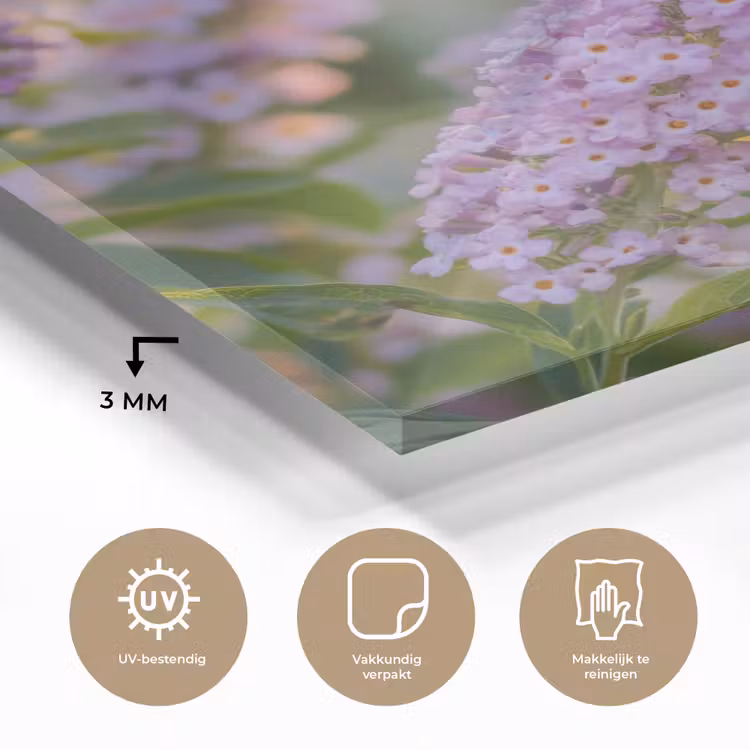 Sierlijke - Vlinder - Paarse - Bloemen plexiglas 5mm klein -sfeer2