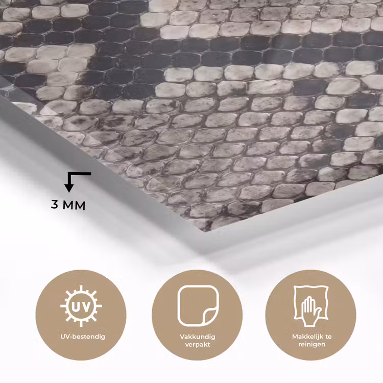 Slangenleer - Patroon - Beige plexiglas 5mm klein -sfeer2