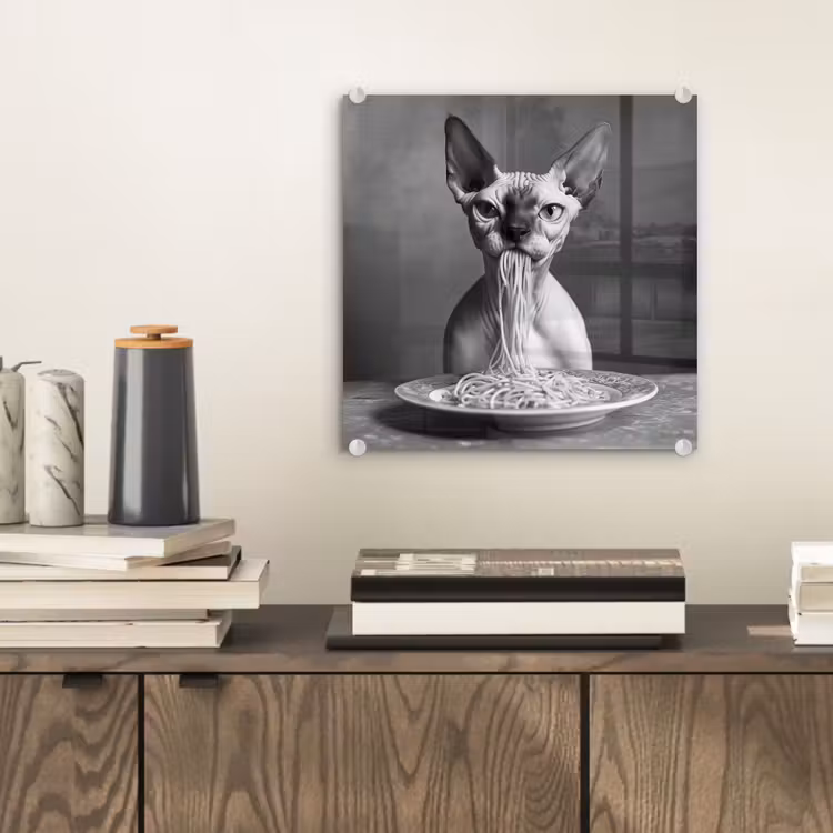 Sphynx - Kat - Dieren - Humor - Spaghetti - Zwart Wit plexiglas 5mm klein -sfeer1