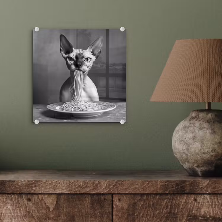 Sphynx - Kat - Dieren - Humor - Spaghetti - Zwart Wit plexiglas 5mm klein -sfeer3
