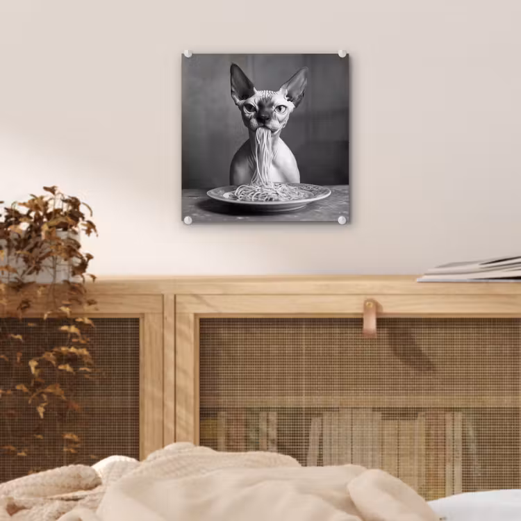 Sphynx - Kat - Dieren - Humor - Spaghetti - Zwart Wit plexiglas 5mm klein -sfeer4
