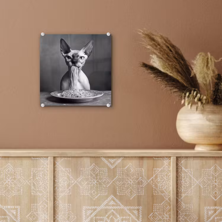 Sphynx - Kat - Dieren - Humor - Spaghetti - Zwart Wit plexiglas 5mm klein -sfeer5