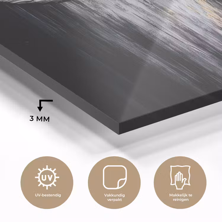 Stier - Hoorns - Snuit - Goud plexiglas 5mm klein -sfeer2