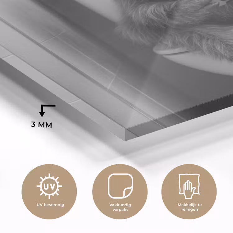 Stier - Telefoon - Toilet - Zwart - Wit plexiglas 5mm klein -sfeer2
