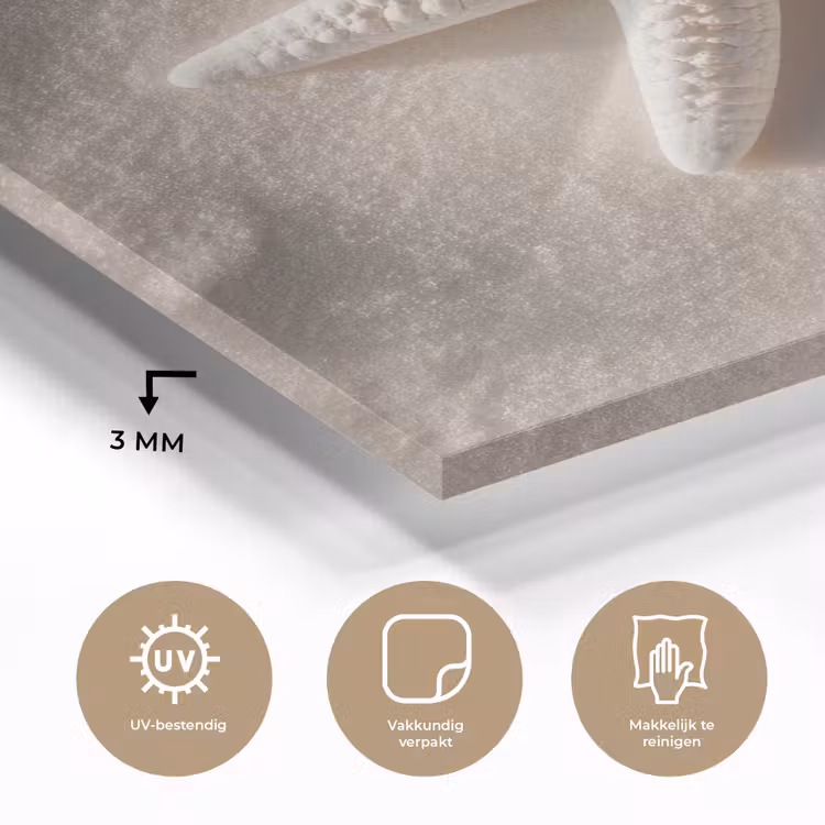 Strand - Zeester - Zand - Beige plexiglas 5mm klein -sfeer2
