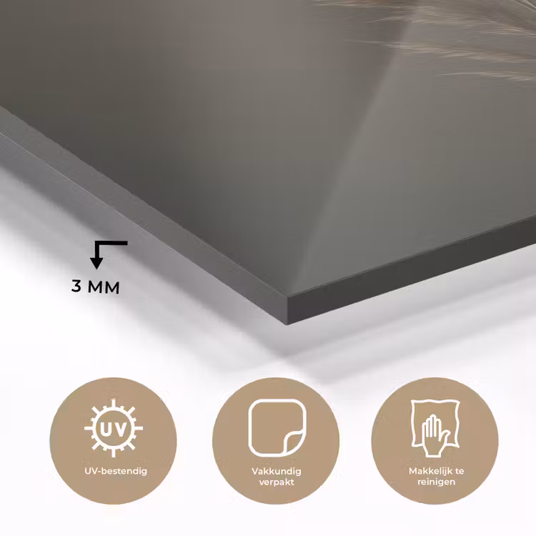 Tak - Pluimgras - Donkerbruin plexiglas 5mm klein -sfeer2