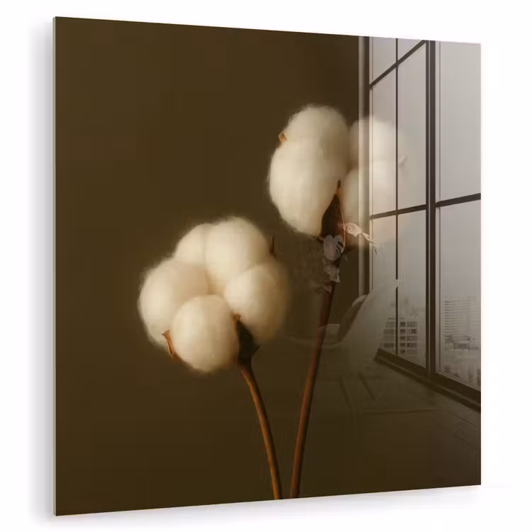Takken - Katoen - Wit - Bollen plexiglas 5mm klein -zzzproduct_nieuw