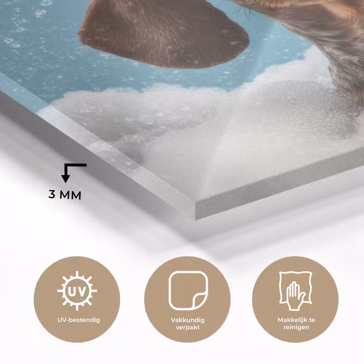 Teckel - Bad - Schuim - Waterdruppels plexiglas 5mm klein -sfeer2