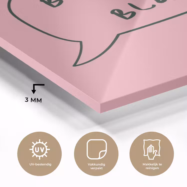 Tekstwolkje - BLAH BLAH BLAH - Roze plexiglas 5mm klein -sfeer2