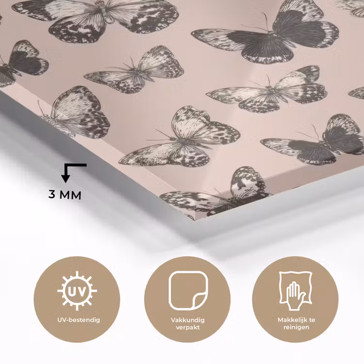 Tijdloos - Vlinders - Perzik plexiglas 5mm klein 11 -sfeer2