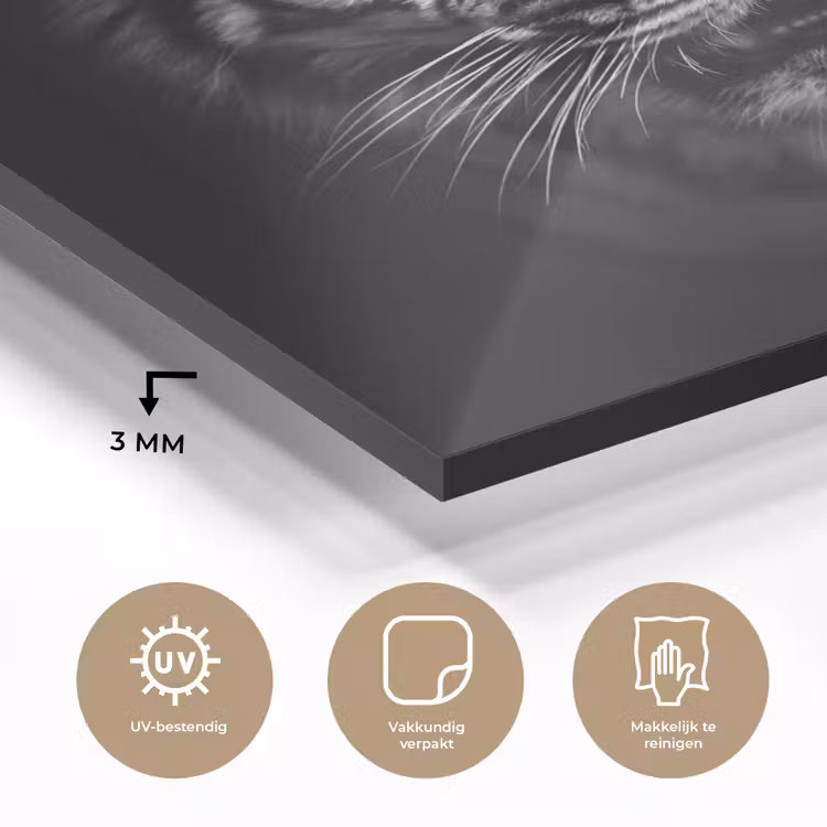 Tijger - Dieren - Zwart - Wit - Portret - Wild plexiglas 5mm klein -sfeer2