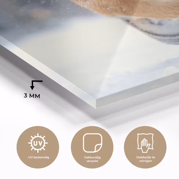 Tijger - Landschap - Sneeuw - Winter - Dieren plexiglas 5mm klein -sfeer2