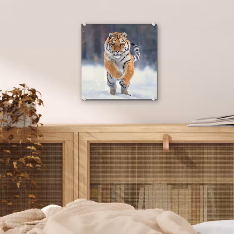 Tijger - Landschap - Sneeuw - Winter - Dieren plexiglas 5mm klein -sfeer4