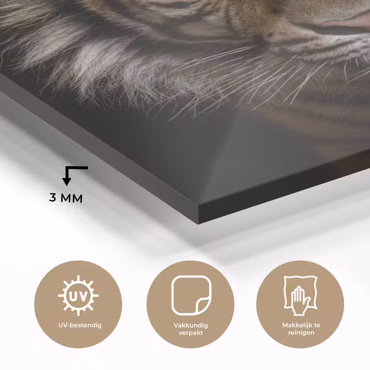 Tijger - Wilde dieren - Portret plexiglas 5mm klein -sfeer2
