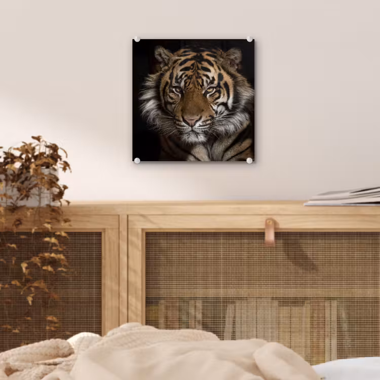Tijger - Wilde dieren - Portret plexiglas 5mm klein -sfeer4