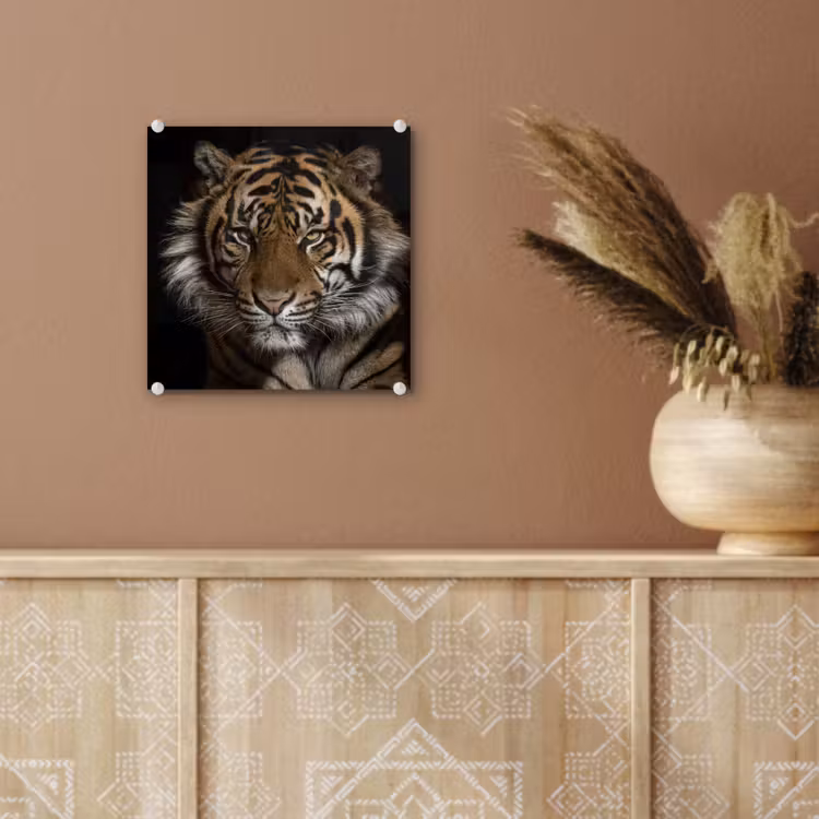 Tijger - Wilde dieren - Portret plexiglas 5mm klein -sfeer5