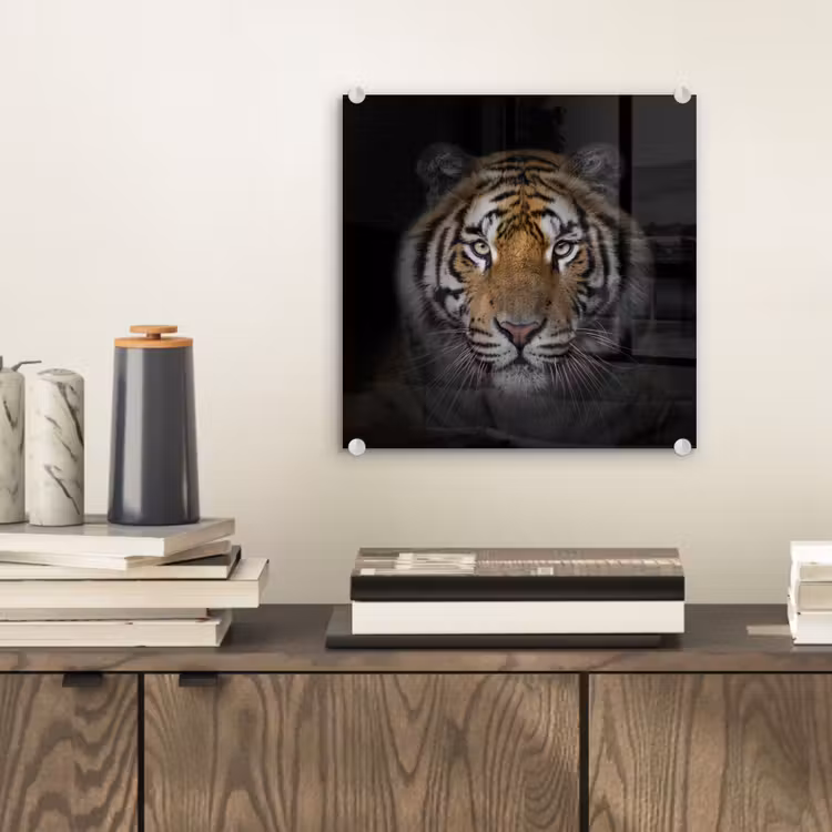 Tijger - Wilde dieren - Portret - Zwart - Dieren plexiglas 5mm klein -sfeer1