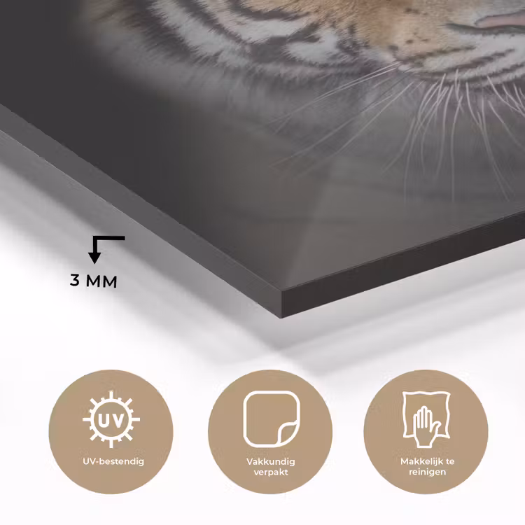 Tijger - Wilde dieren - Portret - Zwart - Dieren plexiglas 5mm klein -sfeer2