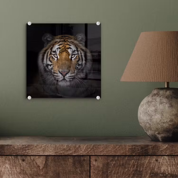 Tijger - Wilde dieren - Portret - Zwart - Dieren plexiglas 5mm klein -sfeer3