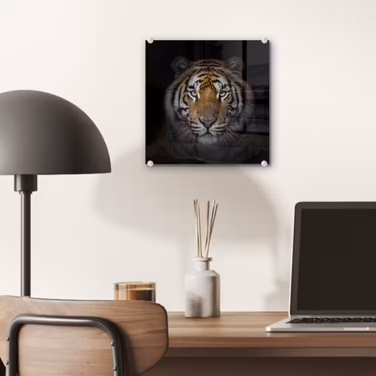 Tijger - Wilde dieren - Portret - Zwart - Dieren plexiglas 5mm klein -sfeer6