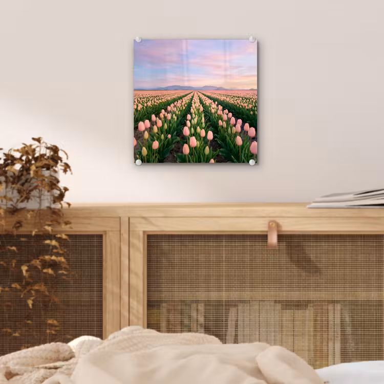 Tulpen - Landschap - Roze plexiglas 5mm klein -sfeer4