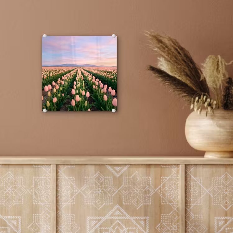Tulpen - Landschap - Roze plexiglas 5mm klein -sfeer5