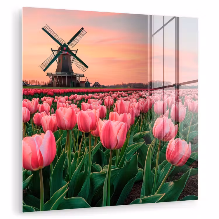 Tulpen - Molen - Nederland plexiglas 5mm klein -zzzproduct_nieuw
