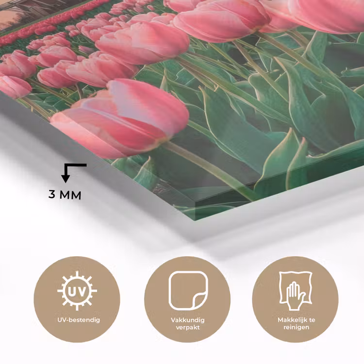 Tulpen - Molen - Nederland plexiglas 5mm klein -sfeer2