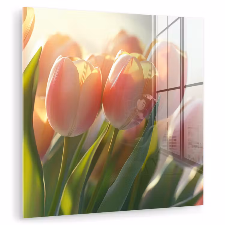 Tulpen - Roze - Zonnestralen plexiglas 5mm klein -zzzproduct_nieuw