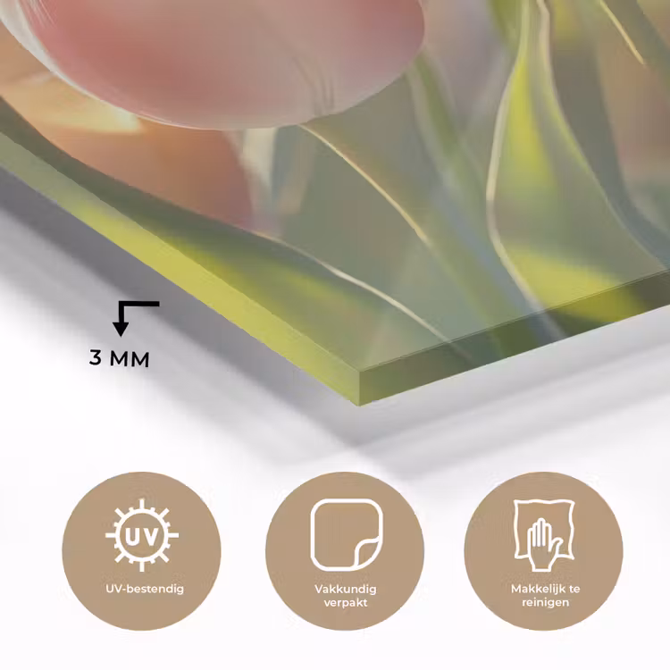 Tulpen - Roze - Zonnestralen plexiglas 5mm klein -sfeer2