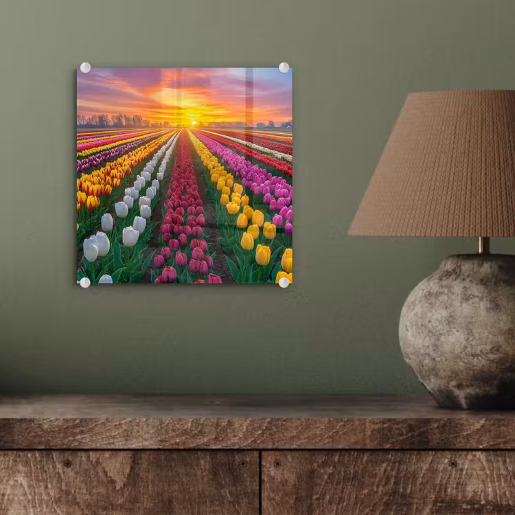 Tulpenveld - Zonsondergang - Kleurrijk plexiglas 5mm klein -sfeer3