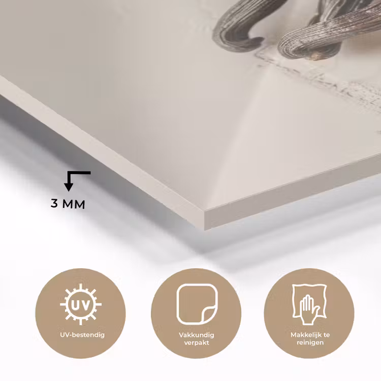 Vanille - Bloemen - Beige plexiglas 5mm klein -sfeer2