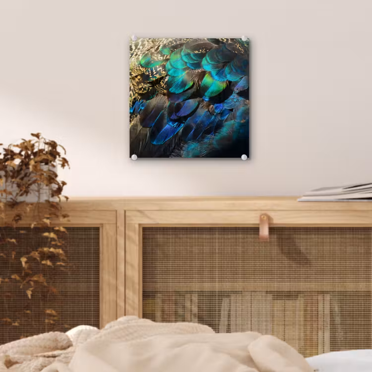 Veren - Pauwveren - Pauw - Blauw - Kunst plexiglas 5mm klein -sfeer4
