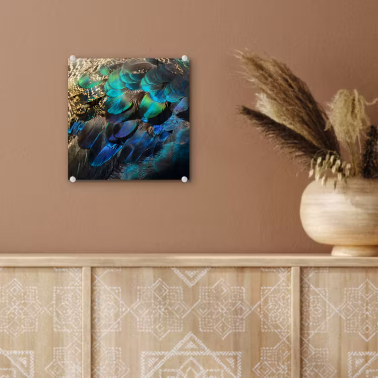 Veren - Pauwveren - Pauw - Blauw - Kunst plexiglas 5mm klein -sfeer5
