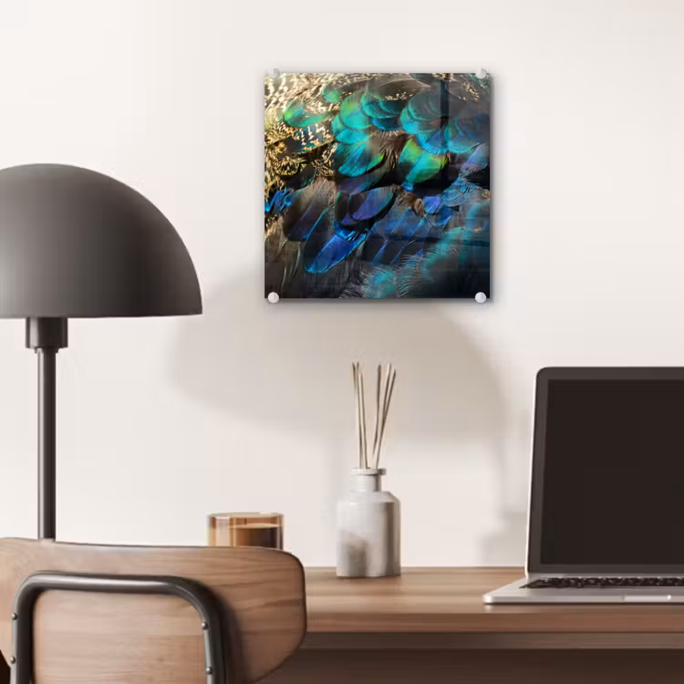 Veren - Pauwveren - Pauw - Blauw - Kunst plexiglas 5mm klein -sfeer6