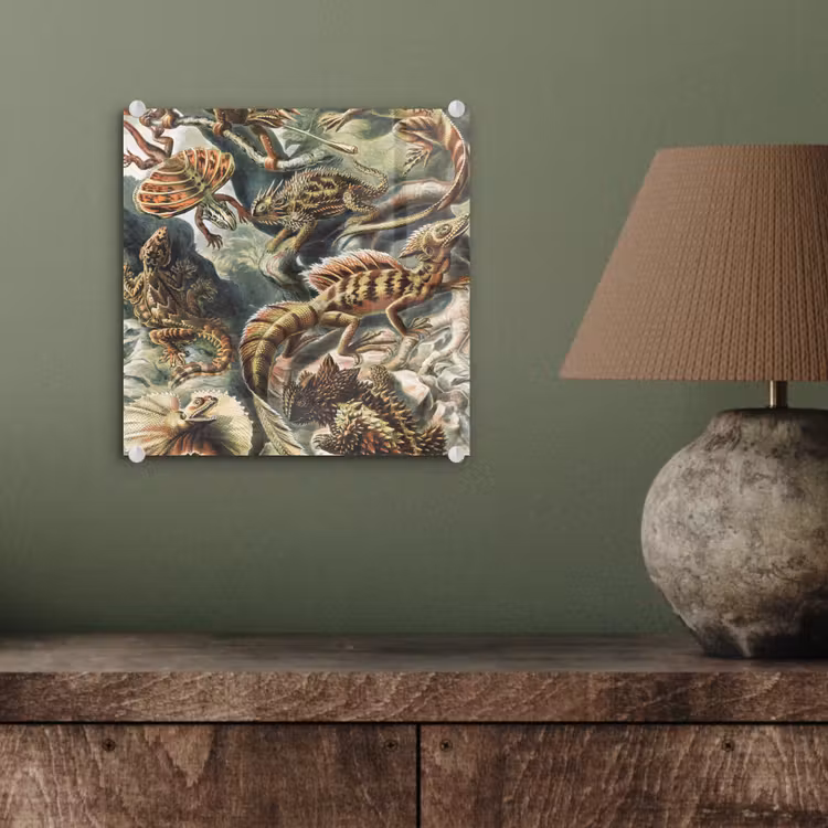 Vintage - Kunst - Ernst Haeckel - Salamanders - Dieren plexiglas 5mm klein -sfeer3