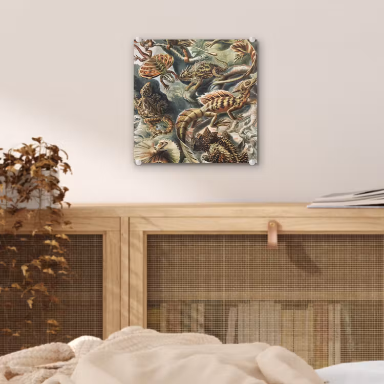 Vintage - Kunst - Ernst Haeckel - Salamanders - Dieren plexiglas 5mm klein -sfeer4