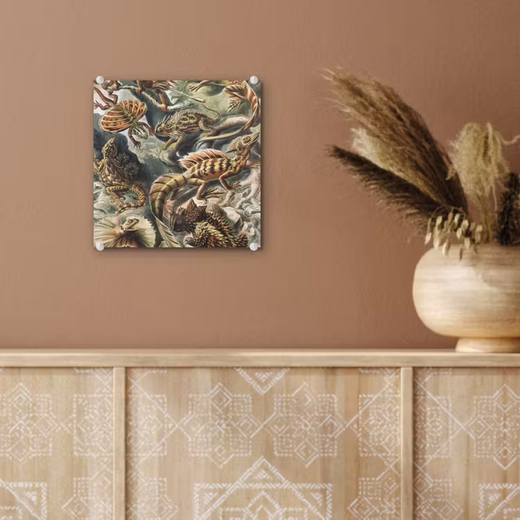 Vintage - Kunst - Ernst Haeckel - Salamanders - Dieren plexiglas 5mm klein -sfeer5