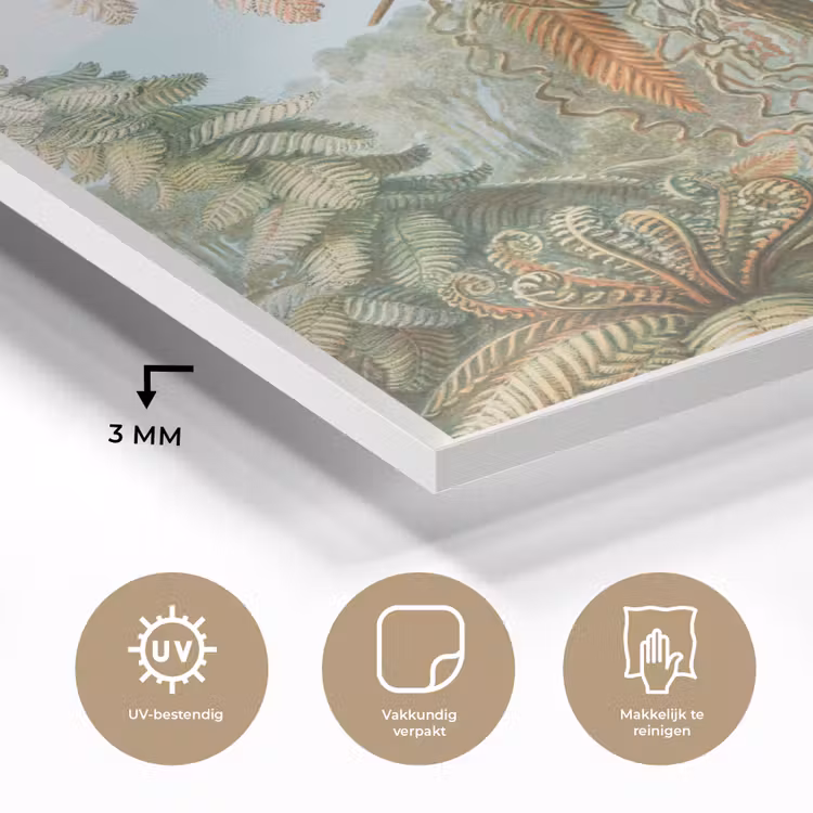 Vintage - Oude meesters - Varens - Planten - Natuur plexiglas 5mm klein -sfeer2