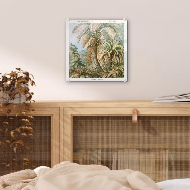 Vintage - Oude meesters - Varens - Planten - Natuur plexiglas 5mm klein -sfeer4