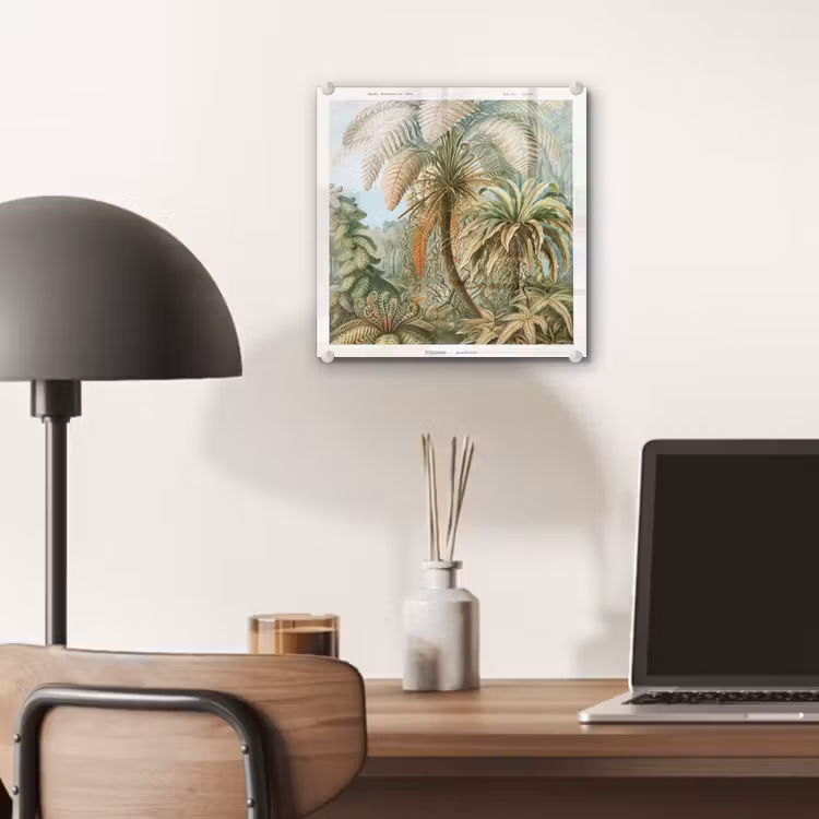 Vintage - Oude meesters - Varens - Planten - Natuur plexiglas 5mm klein -sfeer6
