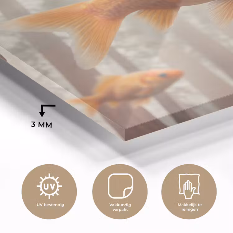 Glas schilderij - Vis - Bos - Fantasie - Vis - Bos - Fantasie plexiglas 5mm klein