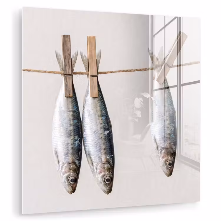Glas schilderij - Vis - Hangend - Eten - Vis - Hangend - Eten plexiglas 5mm klein