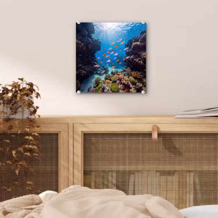 Vis - Koraalrif - Onderwater - Levendig - Blauw plexiglas 5mm klein -sfeer4