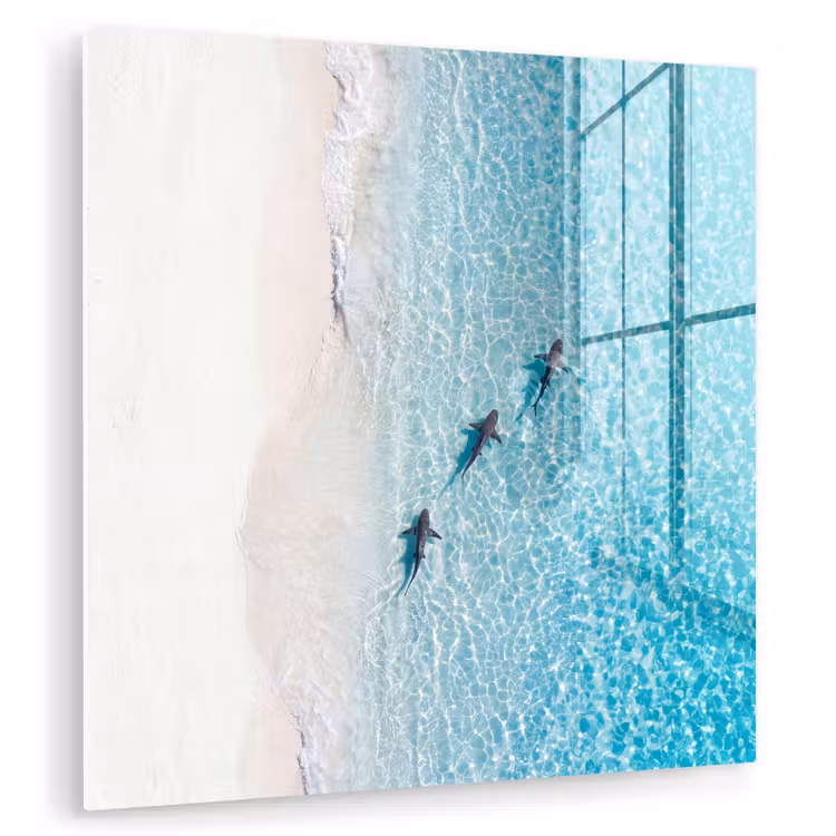 Vis - Oceaan - Strand - Turquoise - Natuur plexiglas 5mm klein -zzzproduct_nieuw