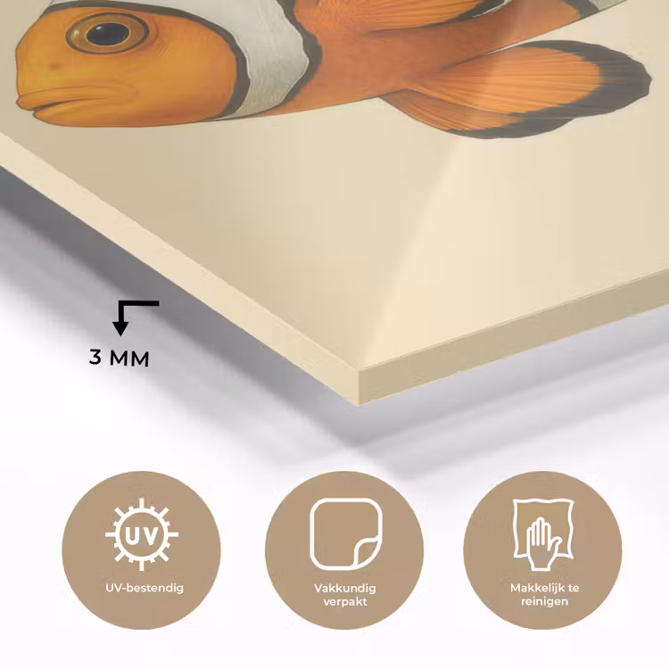 Vis - Oranje - Strepen plexiglas 5mm klein -sfeer2