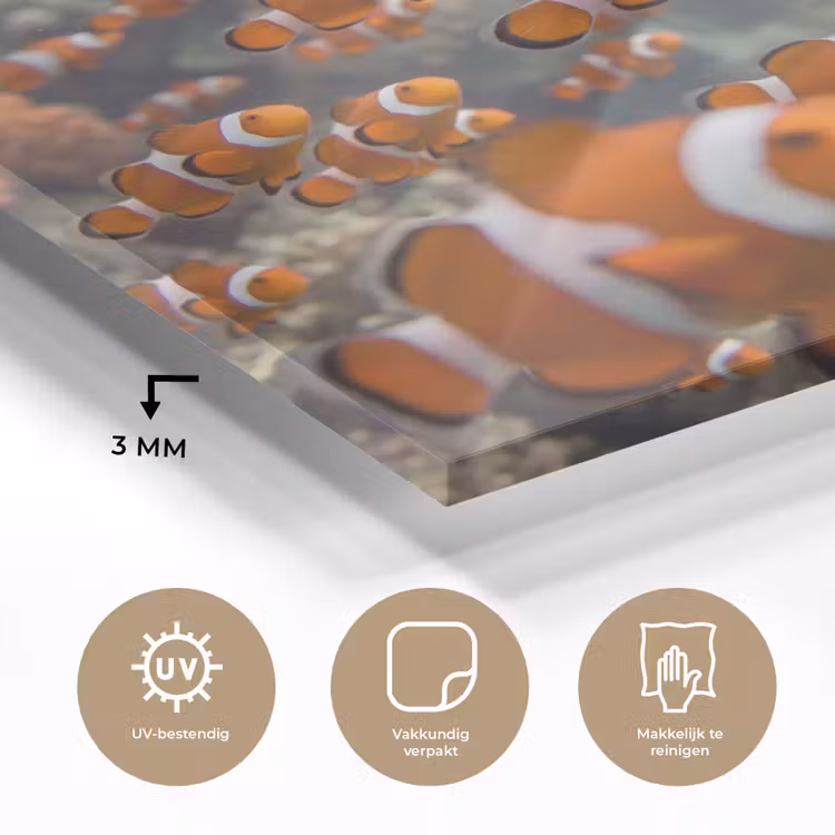 Vis - School - Onderwater - Dieren - Oranje plexiglas 5mm klein -sfeer2
