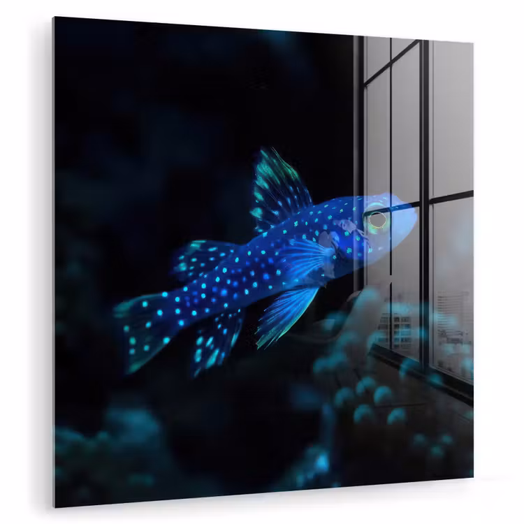 Vis - Stippen - Koraal - Blauw plexiglas 5mm klein -zzzproduct_nieuw